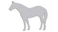naklejka-kon-3-jasny-szary.jpg