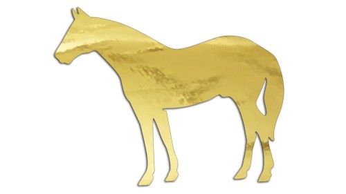 naklejka-kon-3-zloty-chrom.jpg