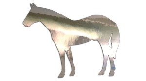 KOŃ #3 - kolory - chrom