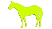 naklejka-kon-3-zolta-neon.jpg