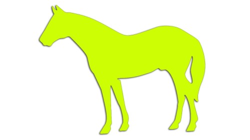 naklejka-kon-3-zolta-neon.jpg