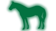 naklejka-kon-3-zielony-odblask.jpg