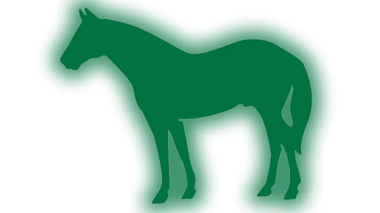naklejka-kon-3-zielony-odblask.jpg