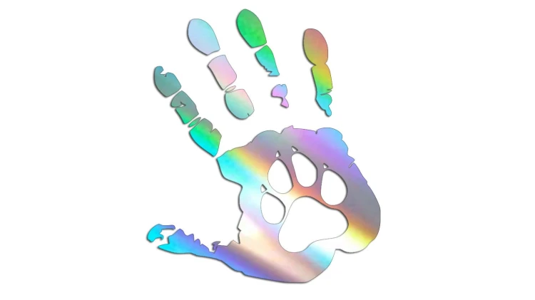 naklejka-dlon-i-lapa-holograficzna.jpg