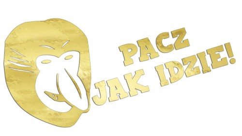 naklejka-janusz-nosacz-pacz-jak-idzie-zloty-chrom.jpg