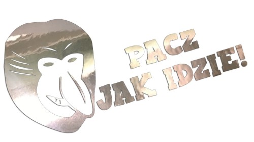 naklejka-janusz-nosacz-pacz-jak-idzie-chrom.jpg