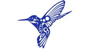 naklejka-koliber-modrakowa.jpg