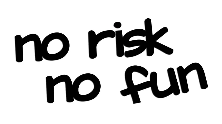 naklejka-no-risk-no-fun.jpg