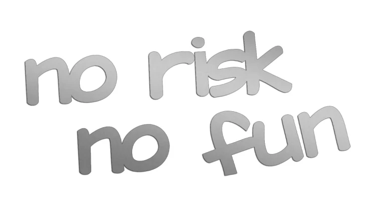 naklejka-no-risk-no-fun-srebrna.jpg