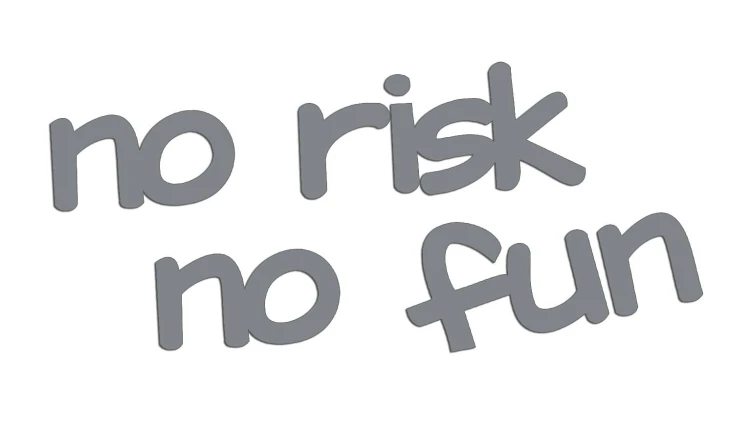 naklejka-no-risk-no-fun-szara.jpg