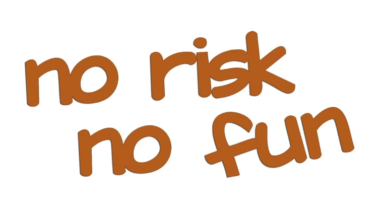 naklejka-no-risk-no-fun-brazowa.jpg