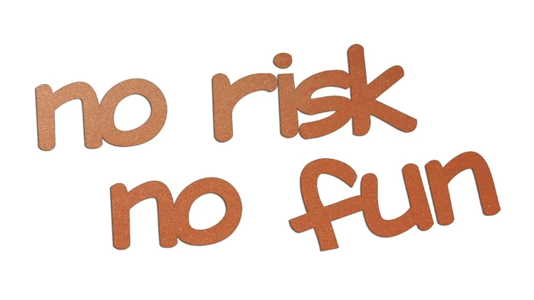 naklejka-no-risk-no-fun-miedziana.jpg