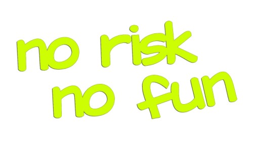 naklejka-no-risk-no-fun-zolta-neon.jpg