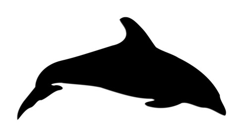 naklejka-delfin-2.jpg