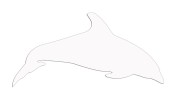naklejka-delfin-2-biala.jpg