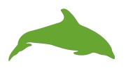 naklejka-delfin-2-jasny-zielony.jpg