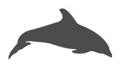 naklejka-delfin-2-grafitowa.jpg