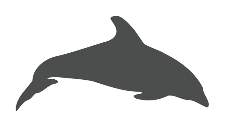 naklejka-delfin-2-grafitowa.jpg