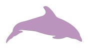 naklejka-delfin-2-liliowa.jpg
