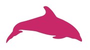 naklejka-delfin-2-rozowa.jpg