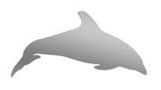 naklejka-delfin-2-srebrna.jpg