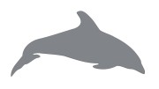 naklejka-delfin-2-szara.jpg