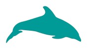 naklejka-delfin-2-turkusowa.jpg