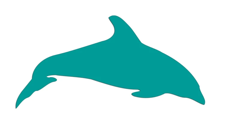 naklejka-delfin-2-turkusowa.jpg