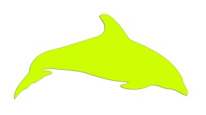 DELFIN #2 - kolory neonowe
