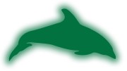 naklejka-delfin-2-zielony-odblask.jpg