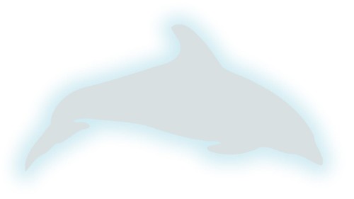 naklejka-delfin-2-bialy-odblask.jpg