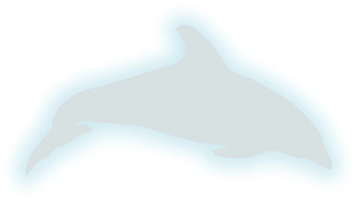 naklejka-delfin-2-bialy-odblask.jpg