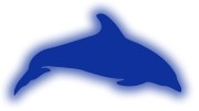 naklejka-delfin-2-niebieski-odblask.jpg
