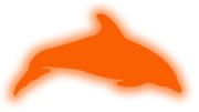 naklejka-delfin-2-pomaranczowy-odblask.jpg