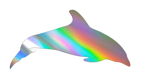 naklejka-delfin-2-holograficzna.jpg