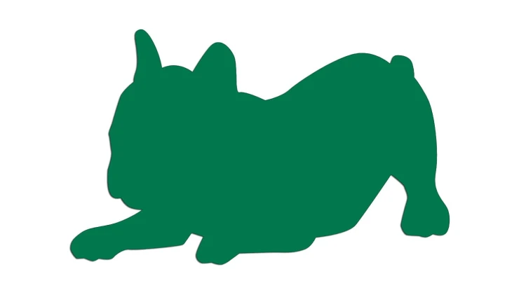 naklejka-buldog-francuski-3-zielona.jpg