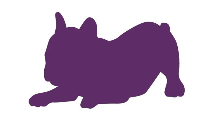 naklejka-buldog-francuski-3-fioletowa.jpg