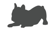 naklejka-buldog-francuski-3-grafitowa.jpg