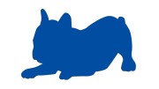 naklejka-buldog-francuski-3-niebieska.jpg