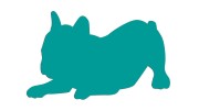 naklejka-buldog-francuski-3-turkusowa.jpg