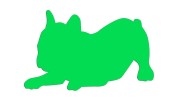 naklejka-buldog-francuski-3-zielona-neon.jpg