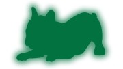 naklejka-buldog-francuski-3-zielony-odblask.jpg