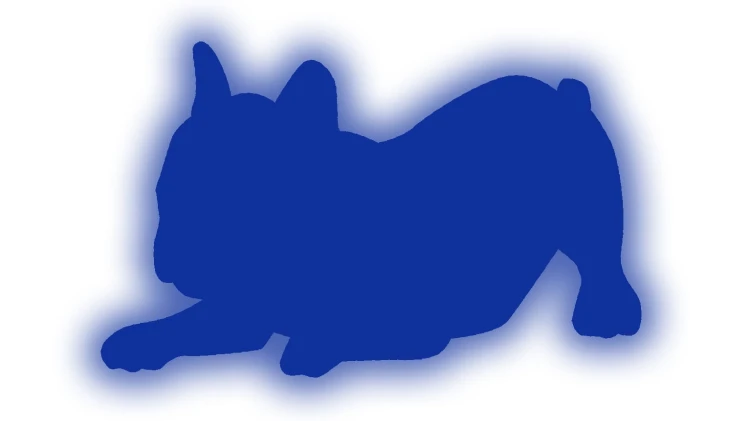 naklejka-buldog-francuski-3-niebieski-odblask.jpg