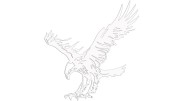 naklejka-orzel-2-biala.jpg