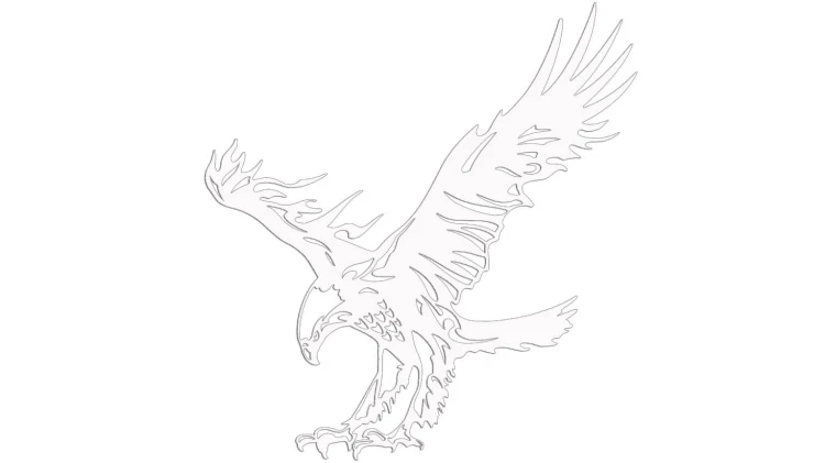 naklejka-orzel-2-biala.jpg