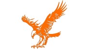 naklejka-orzel-2-pomaranczowa.jpg