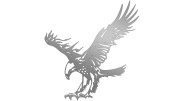 naklejka-orzel-2-srebrna.jpg