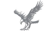 naklejka-orzel-2-szara.jpg