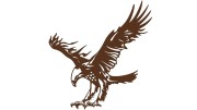 naklejka-orzel-2-ciemny-brazowy.jpg