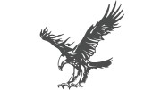 naklejka-orzel-2-grafitowa.jpg